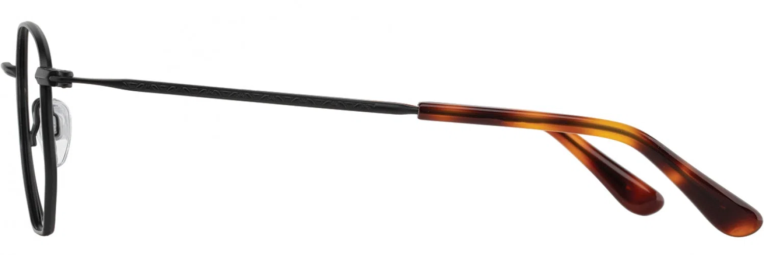 American Optical WESLEY Eyeglasses - view 5